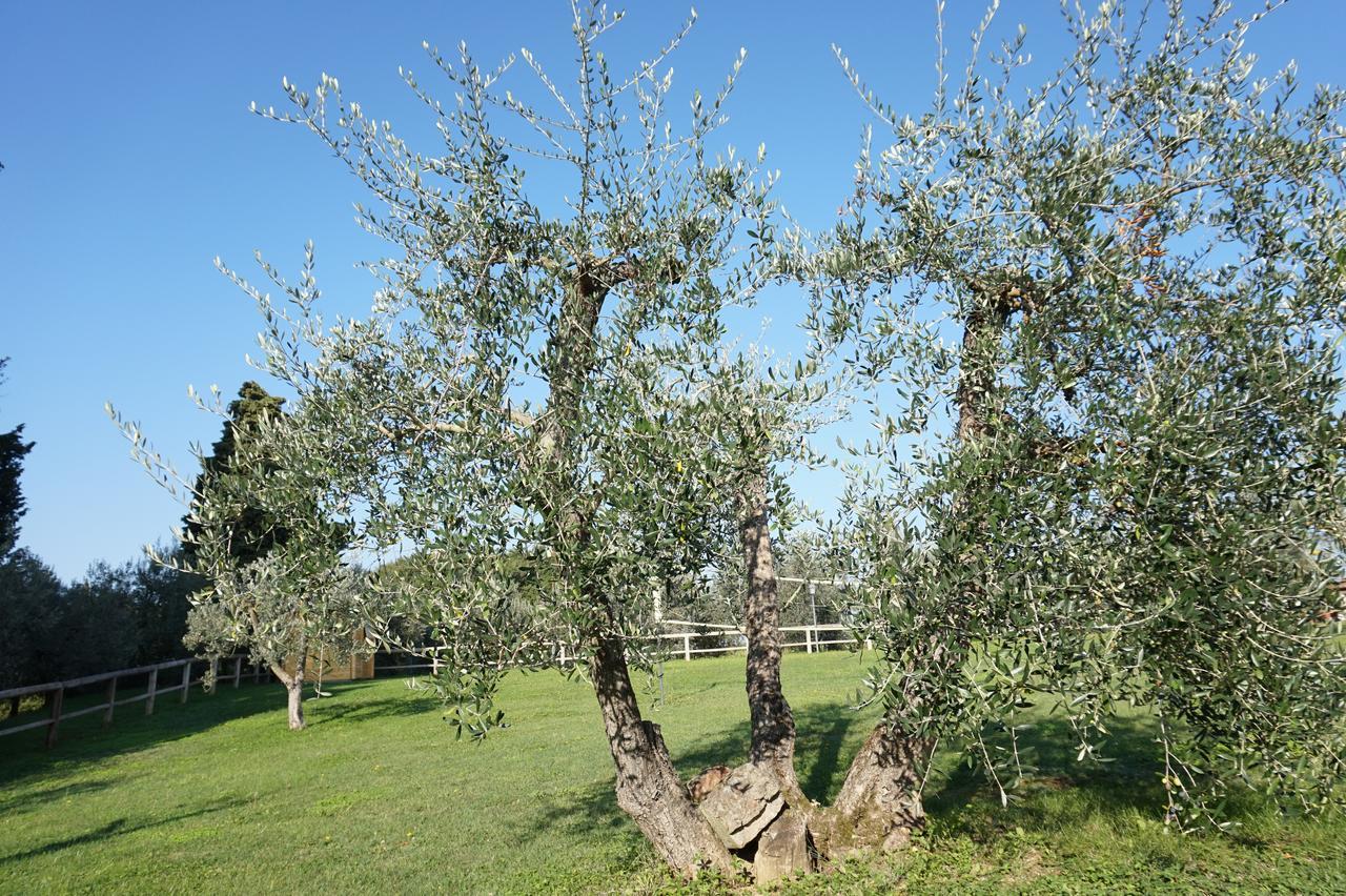 Residenza Piandaccoli Βίλα Lastra a Signa Εξωτερικό φωτογραφία